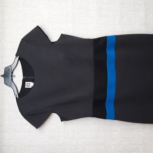 Anne Klein Color Block Capped Sleeve Knit Dress